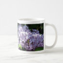 Buscar lilas tazas Púrpura