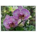 Buscar orquídeas tablas cortar Púrpura