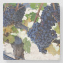 Buscar pinot negro Vid