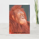 Buscar orangutanes tarjetas General y unisex