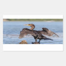 Buscar cormoranes pegatinas Naturaleza
