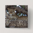 Buscar kenia chapas Negro