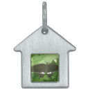 Buscar mariposa collares Hermoso