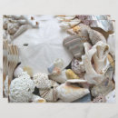 Buscar arena manualidades Dólar de arena