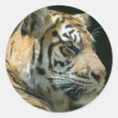 Buscar parque zoológico pegatinas Fauna