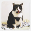 Buscar lengua pegatinas 6 º cara