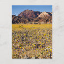 Buscar fiebre postales Primavera