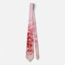Buscar pata blanca Rosa