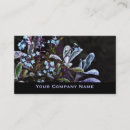 Buscar ambiente tarjetas de visita Ecología