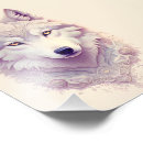 Buscar lobo blanco Elegante