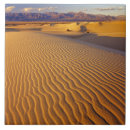 Buscar dunas de arena azulejos Paisaje