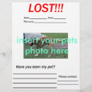Buscar perdido flyers 9 º gata