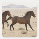 Buscar namibia pegatinas Desierto