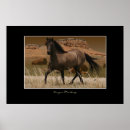 Buscar mustang arte Caballos