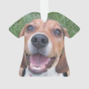 Buscar beagle adornos Perrito