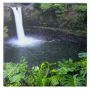 Buscar hawaii azulejos Tropical