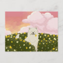 Buscar samoyedo postales Lindo