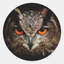 Buscar pájaro negro manualidades Búho