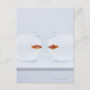 Buscar separados postales Amar