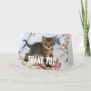 Buscar gatito del tabby tarjetas Felino