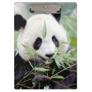 Buscar gigantes libretas Moderno