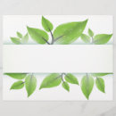 Buscar ecológico flyers Verde