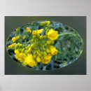 Buscar gota de lluvia posters Verde