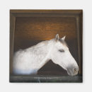 Buscar malaga imanes Dentro