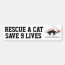 Buscar rescates pegatinas parachoque Gatos