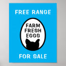 Buscar gallina posters Granja
