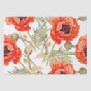 Buscar amapolas rojas papel de seda Flores