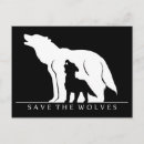 Buscar cachorro de lobo postales Lobos