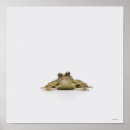 Buscar reptiles arte Escalas
