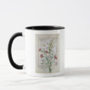 Buscar quinta tazas Rosa
