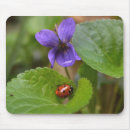 Buscar ladybug alfombrillas de raton Ladybird