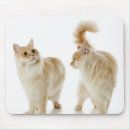 Buscar gatos alfombrillas de raton Lindo
