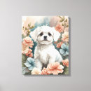 Buscar malta lienzos Cachorro
