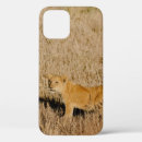 Buscar lion iphone fundas Naturaleza
