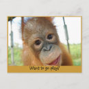 Buscar primate postales Juguetón