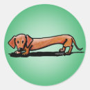 Buscar doxie pegatinas Limpiador