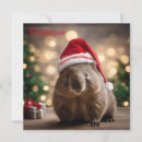 Buscar wombat tarjetas Vida silvestre