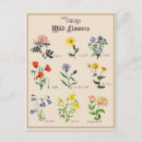 Buscar flores vintage postales Para ella