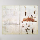 Buscar herbario posters Rousseau