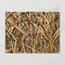 Buscar camuflaje postales Caza