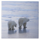 Buscar el caminar azulejos Al aire libre