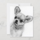 Buscar cute chihuahua postales Amante del perro