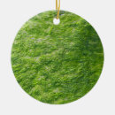 Buscar fondo marino adornos Naturaleza