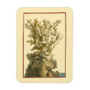 Buscar coral imanes Arrecife de coral