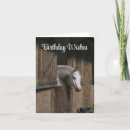 Buscar caballos tarjetas Amantes del caballo