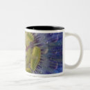 Buscar rf tazas Galería jaynes